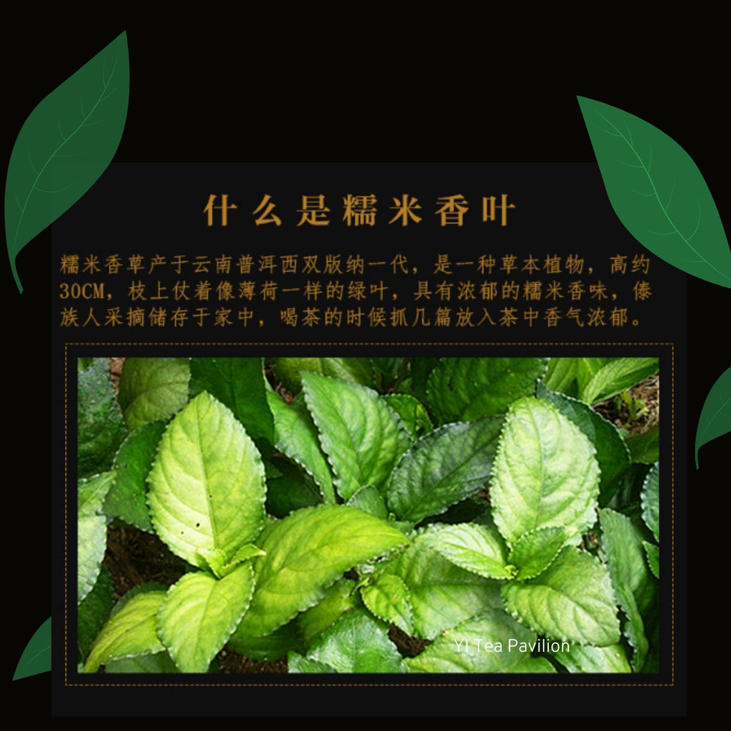 2003 AGED GLUTINOUS PUER MINI TEA BRICK | Shou Puerh Tea | Chinese Tea | Individually wrap 糯米普洱迷你小砖饼 | 12s