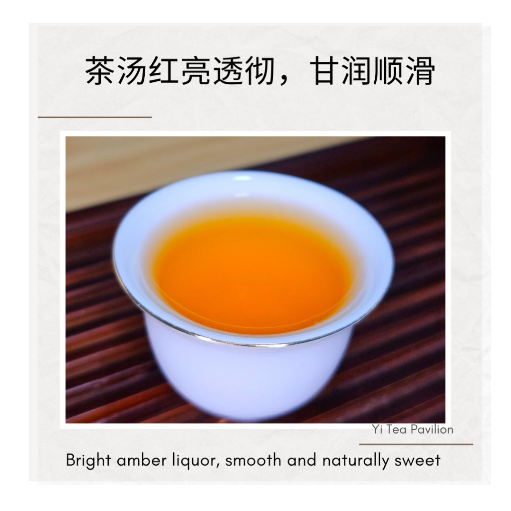 Yunnan Golden Snail Black Tea – Dian Hong Jin Luo 滇红金螺 | 100g Tin | First Grade