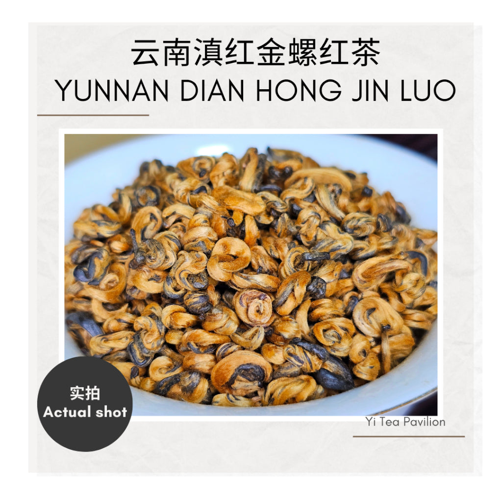 Yunnan Golden Snail Black Tea – Dian Hong Jin Luo 滇红金螺 | 100g Tin | First Grade