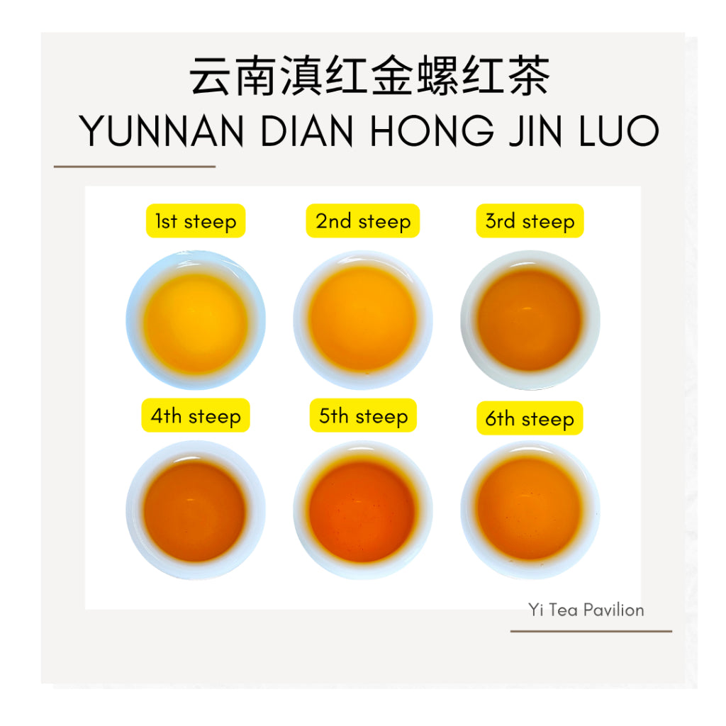 Yunnan Golden Snail Black Tea – Dian Hong Jin Luo 滇红金螺 | 100g Tin | First Grade