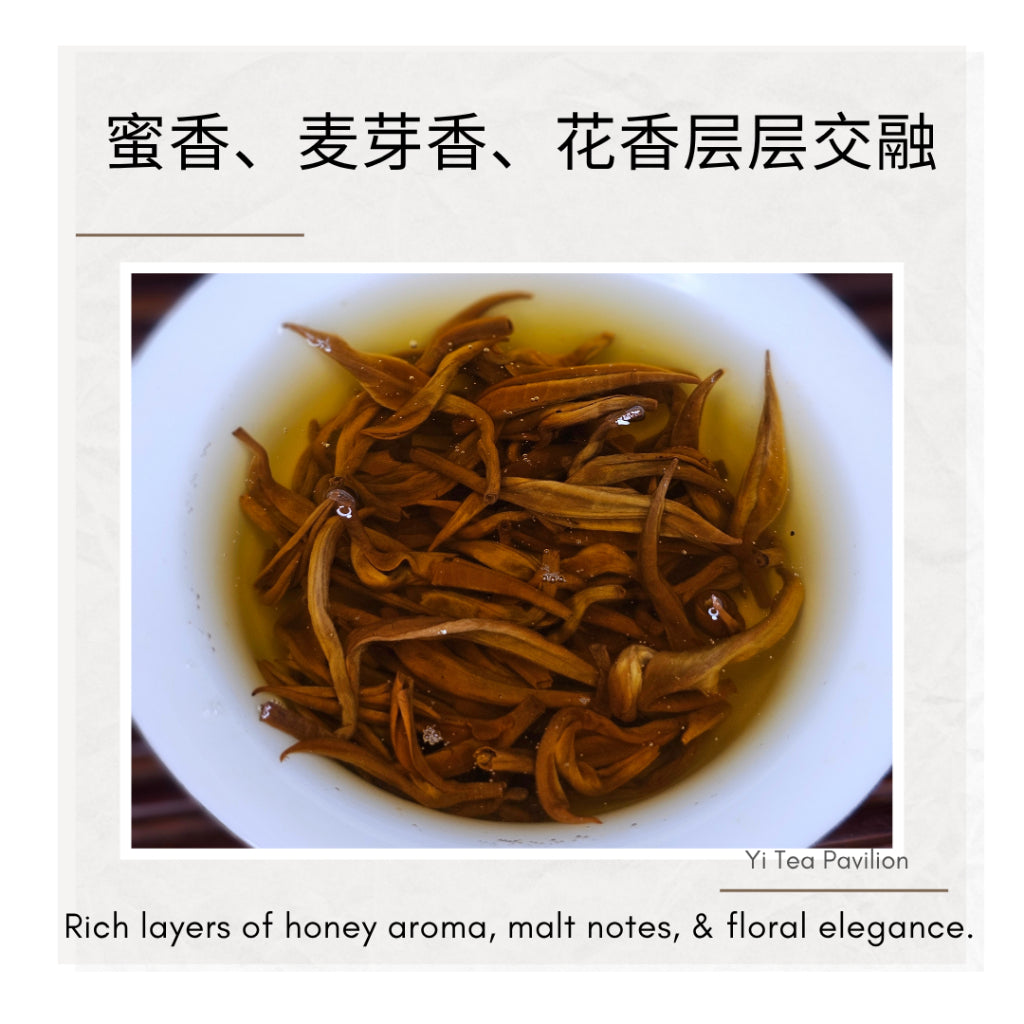 Yunnan Golden Snail Black Tea – Dian Hong Jin Luo 滇红金螺 | 100g Tin | First Grade