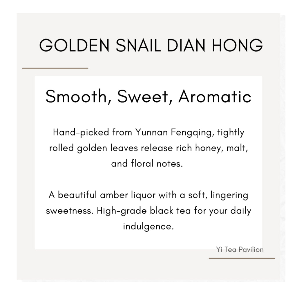 Yunnan Golden Snail Black Tea – Dian Hong Jin Luo 滇红金螺 | 100g Tin | First Grade