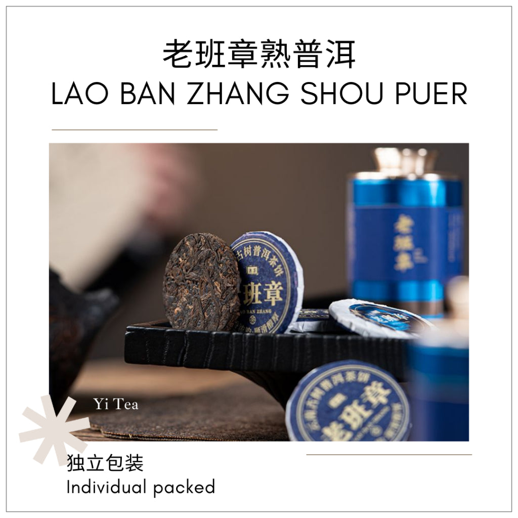Bing Dao Puer & Specialty White Tea Mini Tea Cake Set | Premium Selection 冰岛普洱与特选白茶迷你茶饼 独立包装 精选