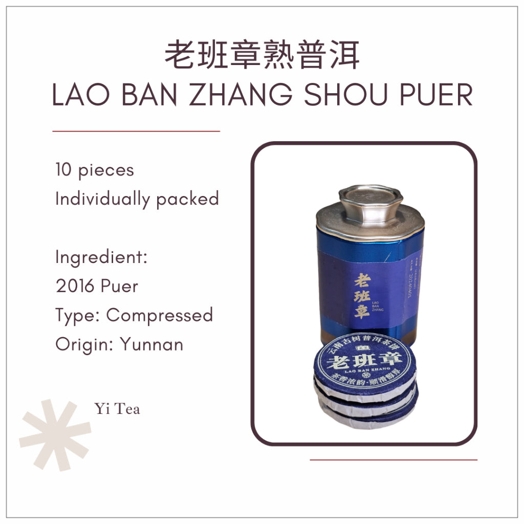 Bing Dao Puer & Specialty White Tea Mini Tea Cake Set | Premium Selection 冰岛普洱与特选白茶迷你茶饼 独立包装 精选