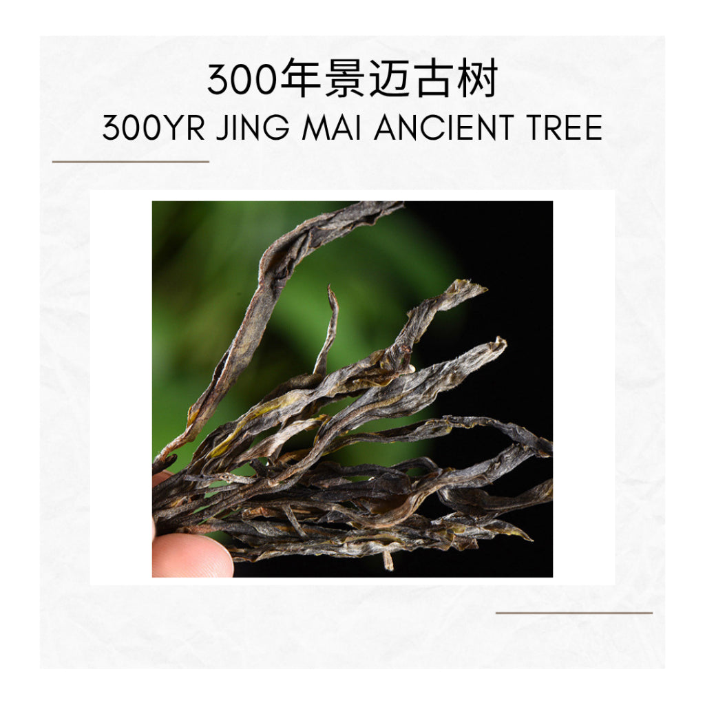 Jing Mai Ancient Tree Raw Puer Sheng Puer - Enhancing Your Tea Experience 景迈300年古树兰花香生普洱散茶 80g