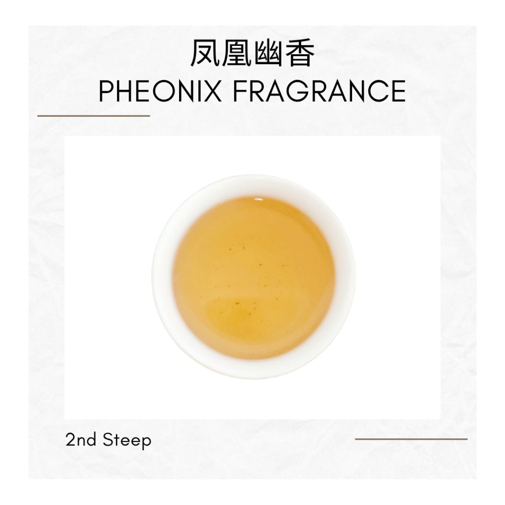 Ya Shi Xiang Dancong Tea Feng Huang Oolong Chinese Tea Duck Shit Aroma Dancong Tea 凤凰单枞 鸭屎香 乌龙茶