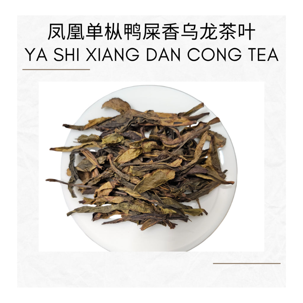 Ya Shi Xiang Dancong Tea Feng Huang Oolong Chinese Tea Duck Shit Aroma Dancong Tea 凤凰单枞 鸭屎香 乌龙茶