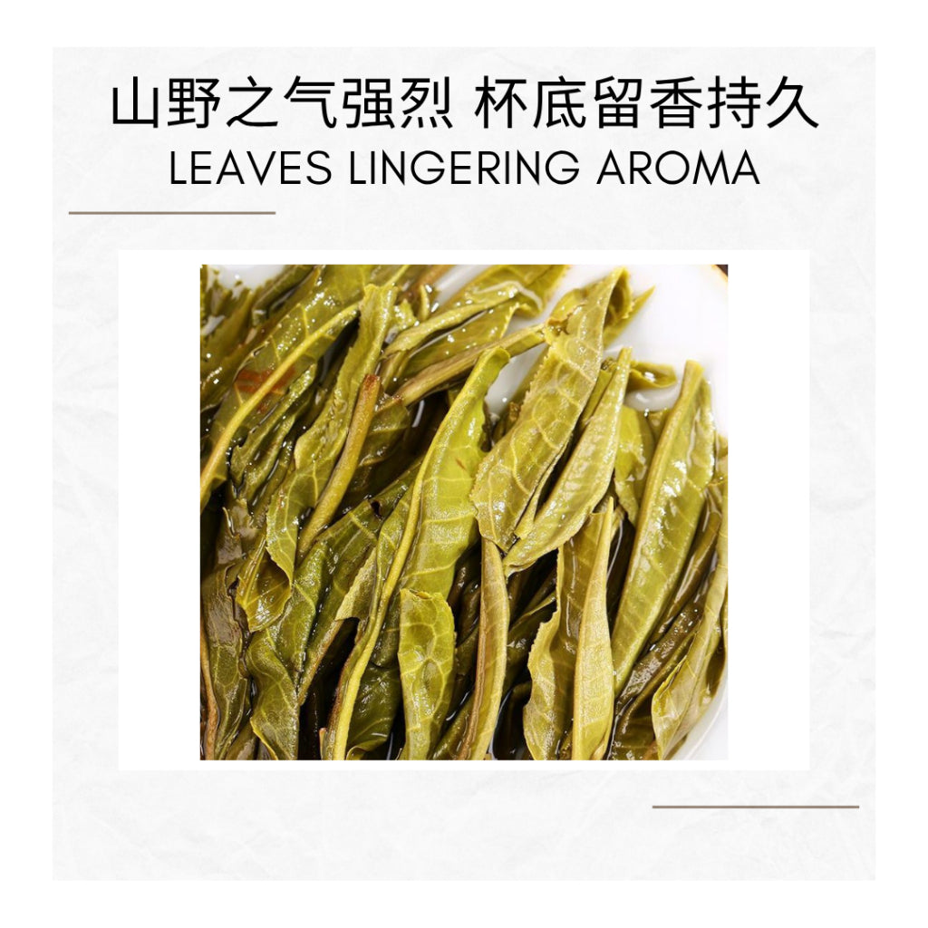 Jing Mai Ancient Tree Raw Puer Sheng Puer - Enhancing Your Tea Experience 景迈300年古树兰花香生普洱散茶 80g