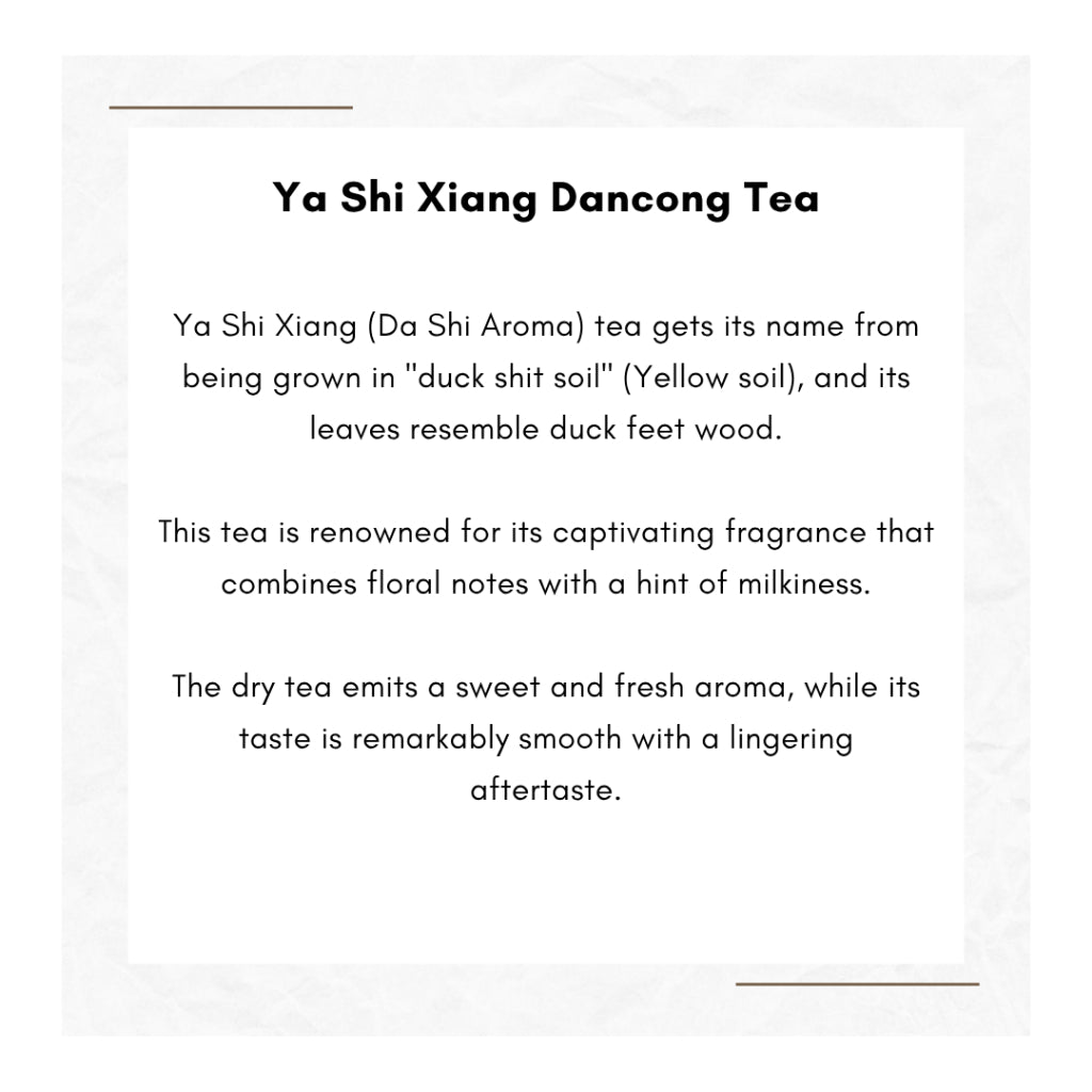 Ya Shi Xiang Dancong Tea Feng Huang Oolong Chinese Tea Duck Shit Aroma Dancong Tea 凤凰单枞 鸭屎香 乌龙茶
