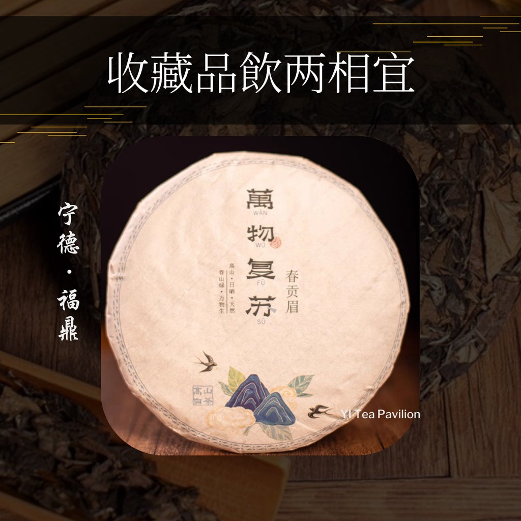 [SG Seller] 2013 FUDING GONG MEI AGED WHITE TEA CAKE 贡眉老白茶福鼎茶饼 | 350g