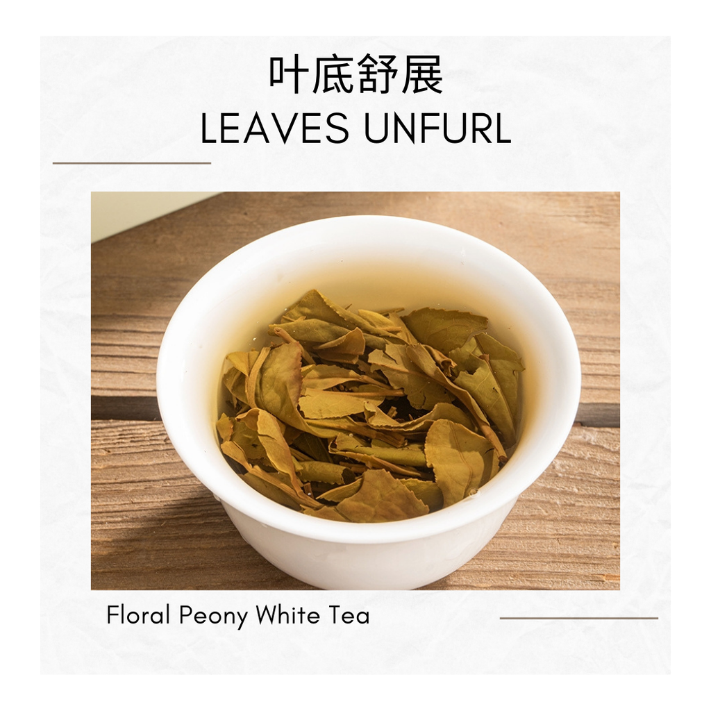 2017 Floral Peony Mudan White Tea  2015 Orange Peel White Tea  Individually Packed  Gift Set