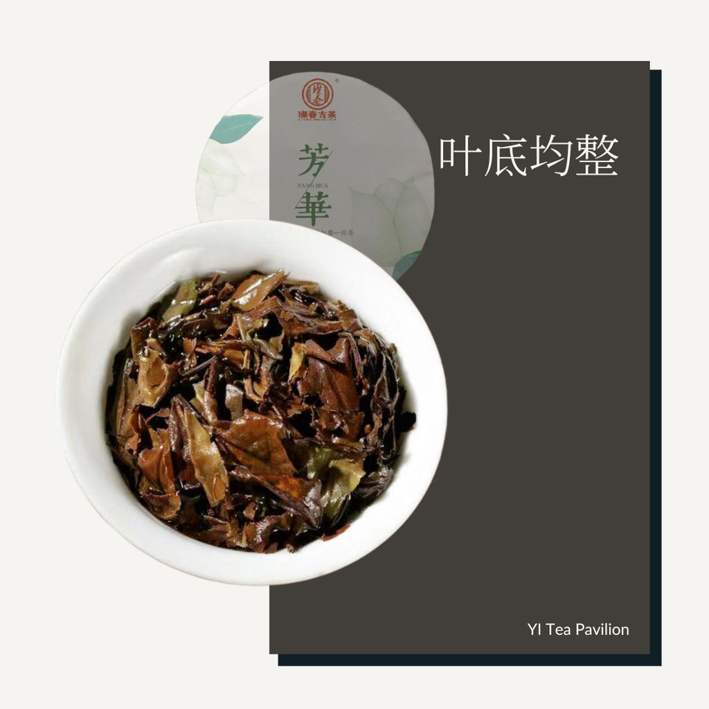 [SG Seller] 2014 FUDING SHOU MEI AGED WHITE TEA CAKE | 寿眉老白茶福鼎茶饼 350g