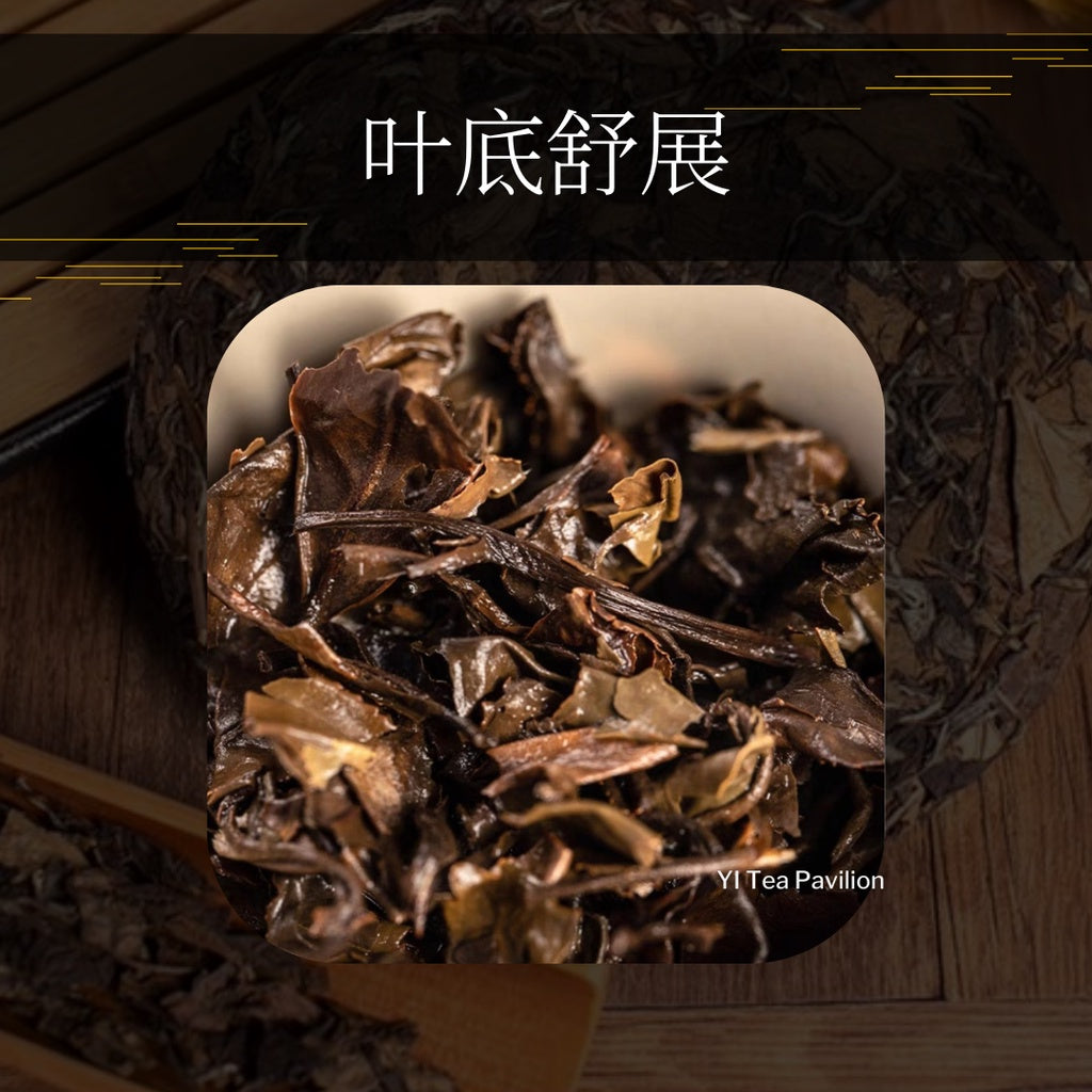 [SG Seller] 2013 FUDING GONG MEI AGED WHITE TEA CAKE 贡眉老白茶福鼎茶饼 | 350g