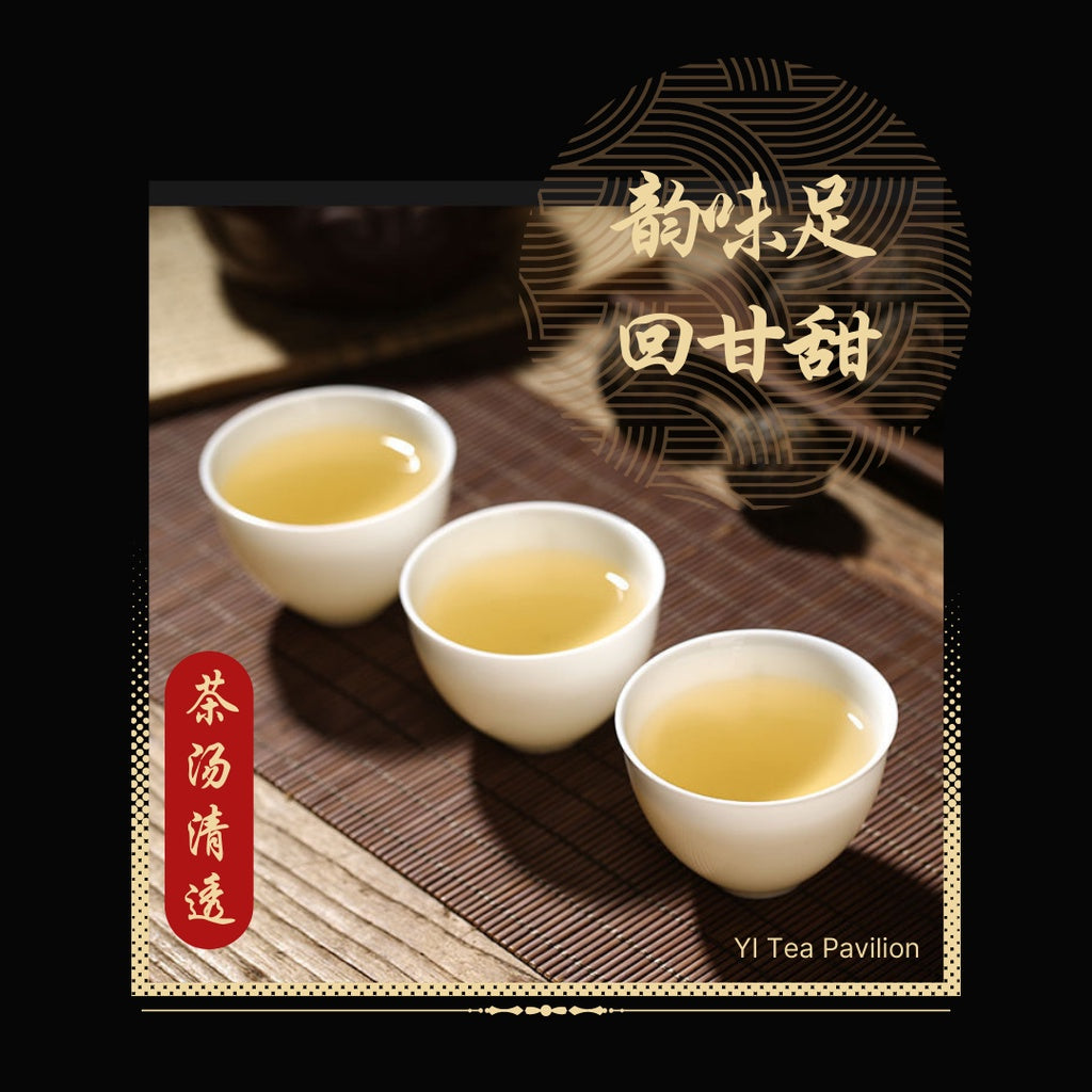 [SG Seller] ANCIENT TREE BING DAO SHENG PUER DRAGON BALL | Raw Puer | 冰糖甜冰岛生普洱古树小龙珠 | 6s | 12s