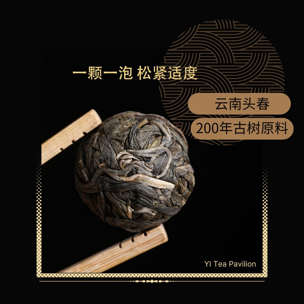 [SG Seller] ANCIENT TREE BING DAO SHENG PUER DRAGON BALL | Raw Puer | 冰糖甜冰岛生普洱古树小龙珠 | 6s | 12s