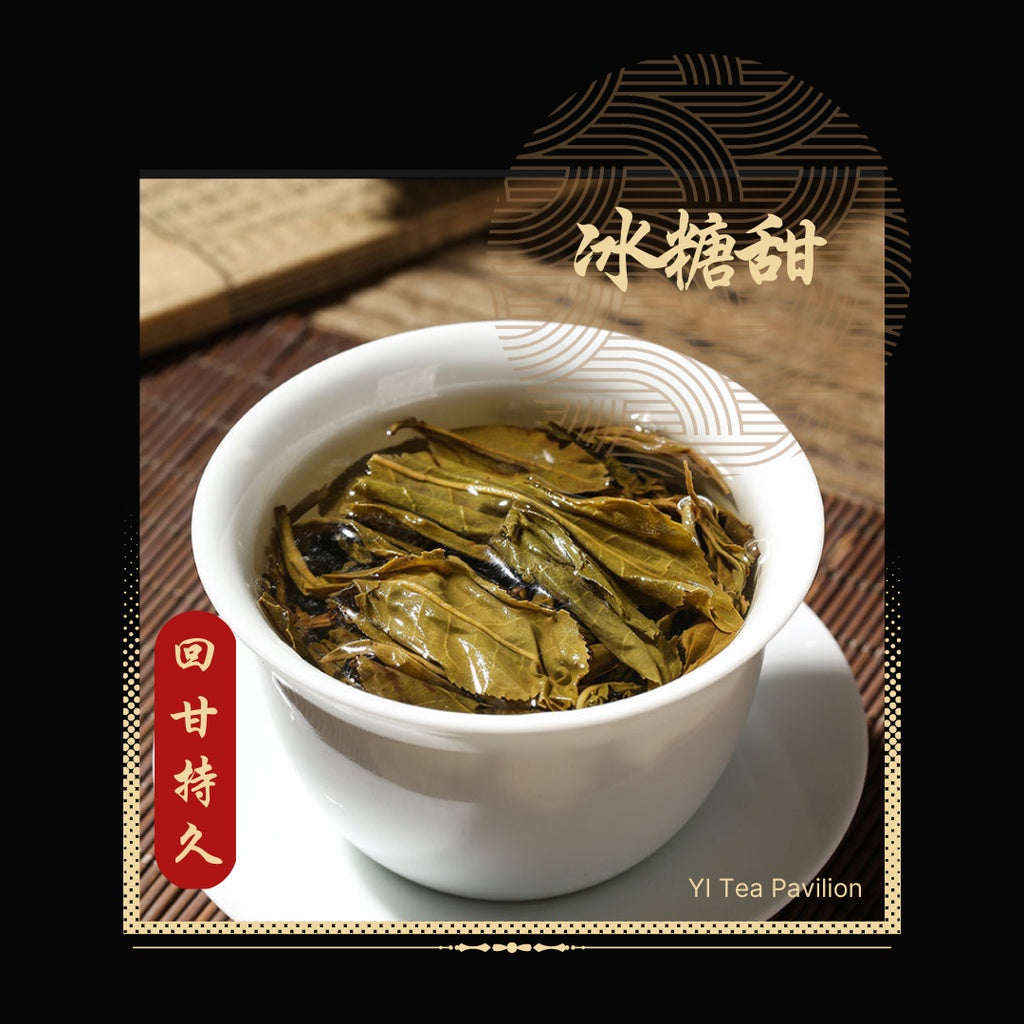 [SG Seller] ANCIENT TREE BING DAO SHENG PUER DRAGON BALL | Raw Puer | 冰糖甜冰岛生普洱古树小龙珠 | 6s | 12s