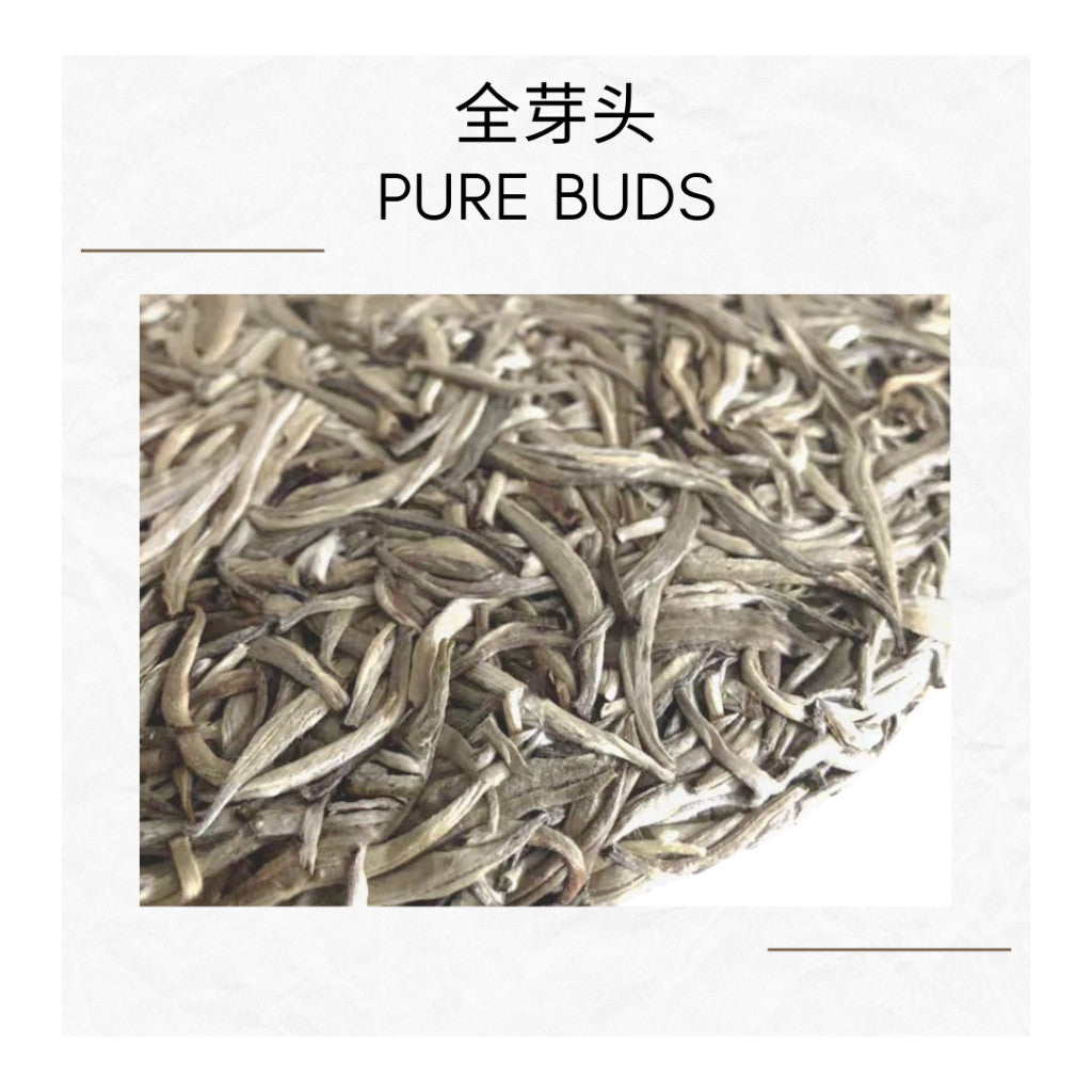 2020  Moonlight White Tea Cake | Yue Guang Bai | 100% Buds | 80g Tin | 月光白 全芽头白茶饼 | 白毫银针 | 80克罐装