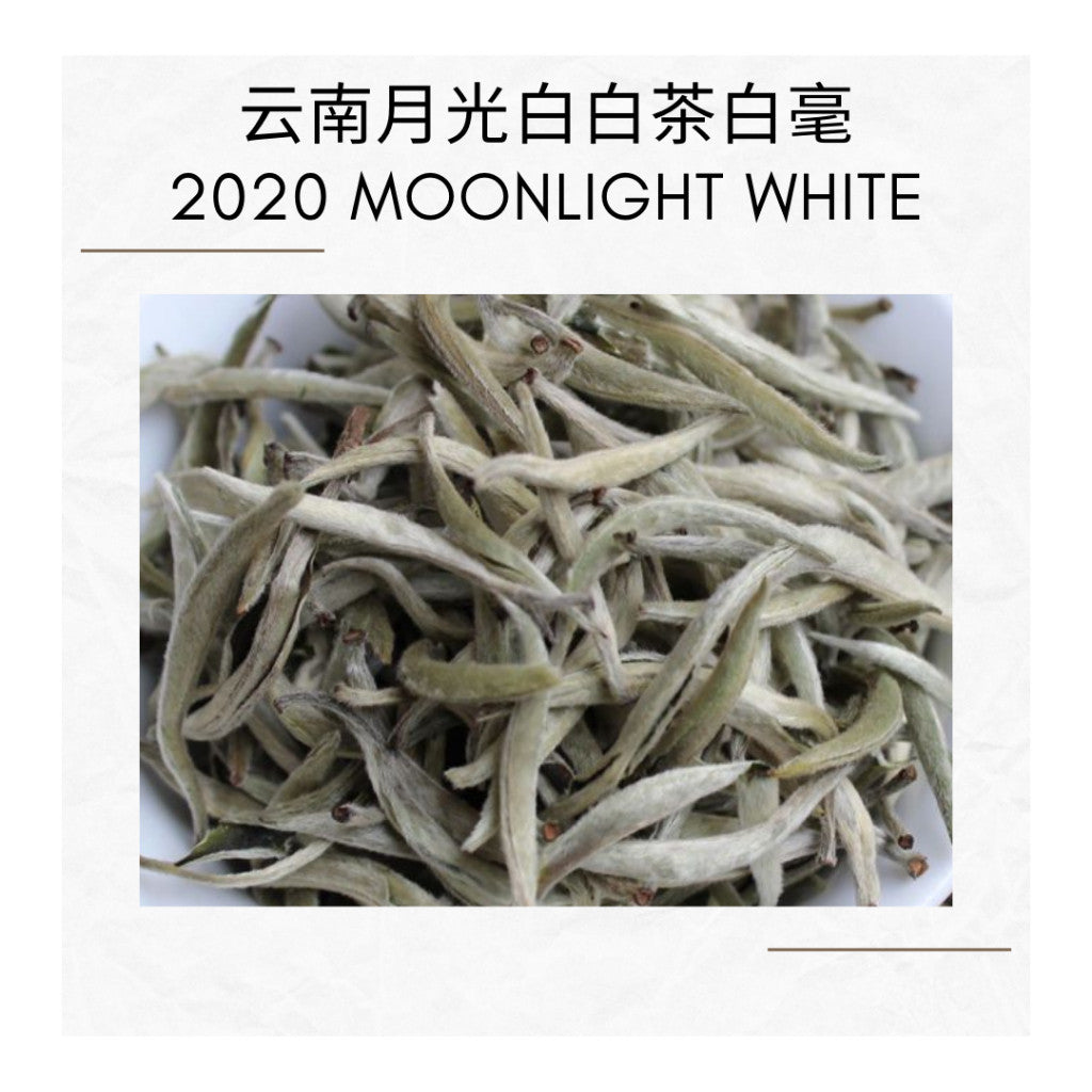 2020  Moonlight White Tea Cake | Yue Guang Bai | 100% Buds | 80g Tin | 月光白 全芽头白茶饼 | 白毫银针 | 80克罐装