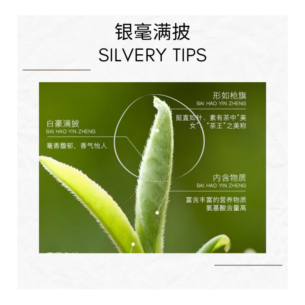 2020  Moonlight White Tea Cake | Yue Guang Bai | 100% Buds | 80g Tin | 月光白 全芽头白茶饼 | 白毫银针 | 80克罐装