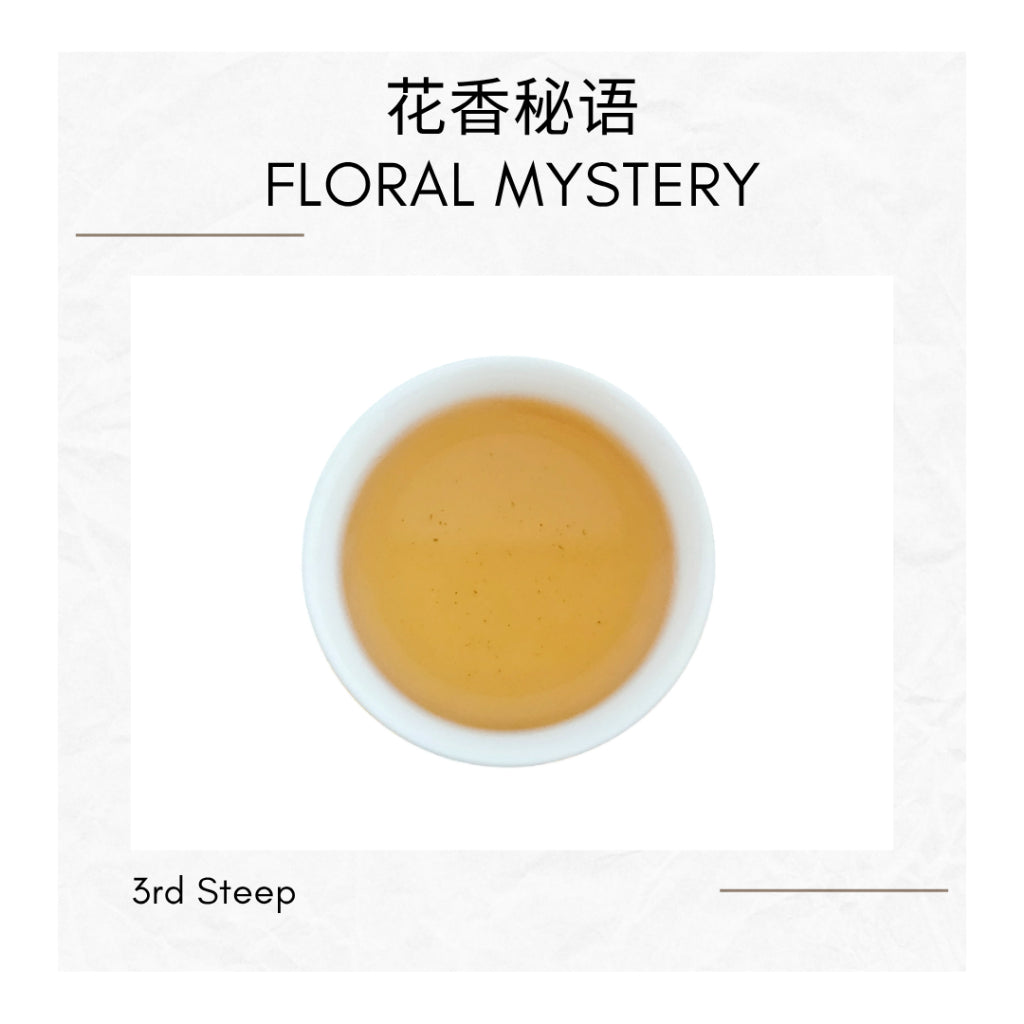 Ya Shi Xiang Dancong Tea Feng Huang Oolong Chinese Tea Duck Shit Aroma Dancong Tea 凤凰单枞 鸭屎香 乌龙茶