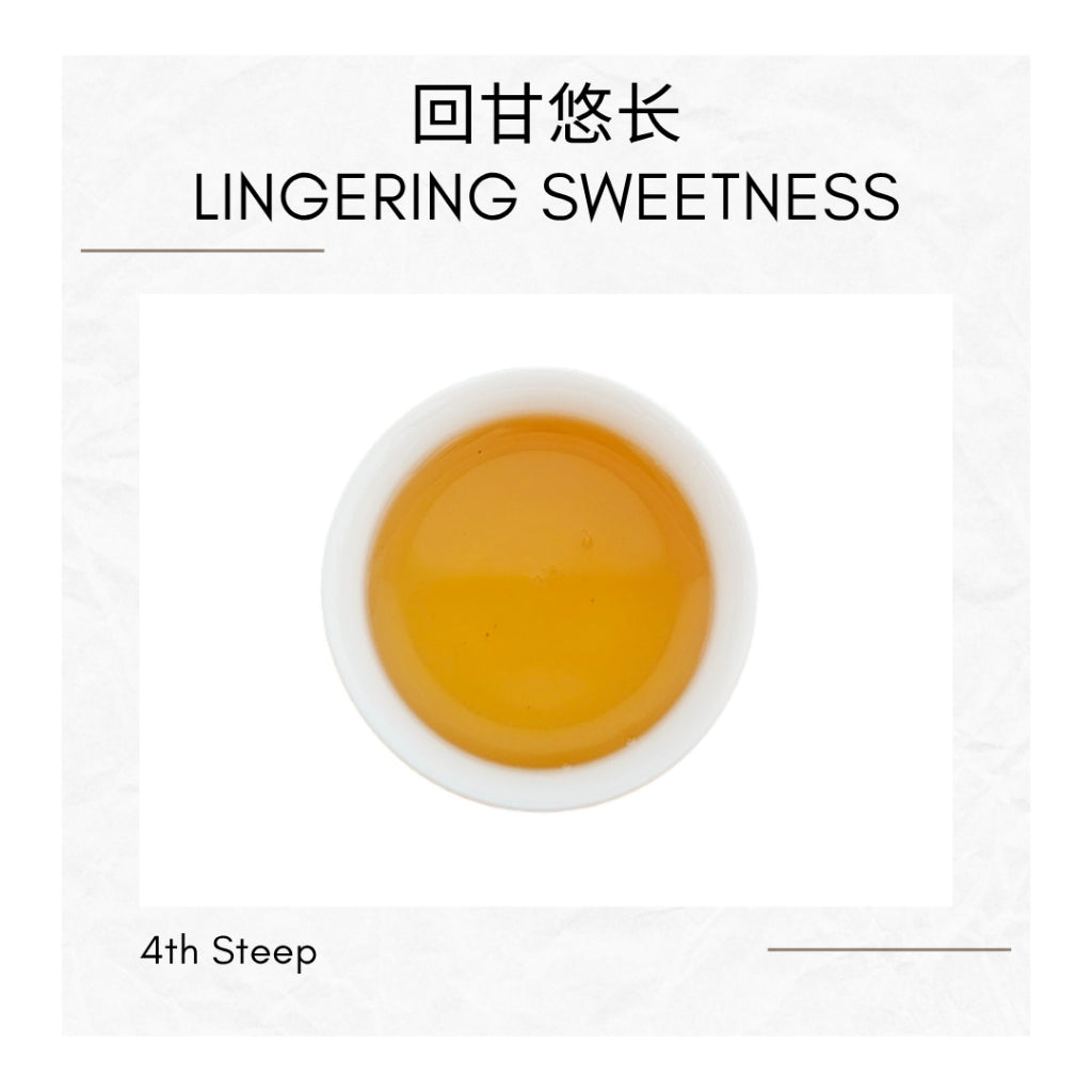 Ya Shi Xiang Dancong Tea Feng Huang Oolong Chinese Tea Duck Shit Aroma Dancong Tea 凤凰单枞 鸭屎香 乌龙茶