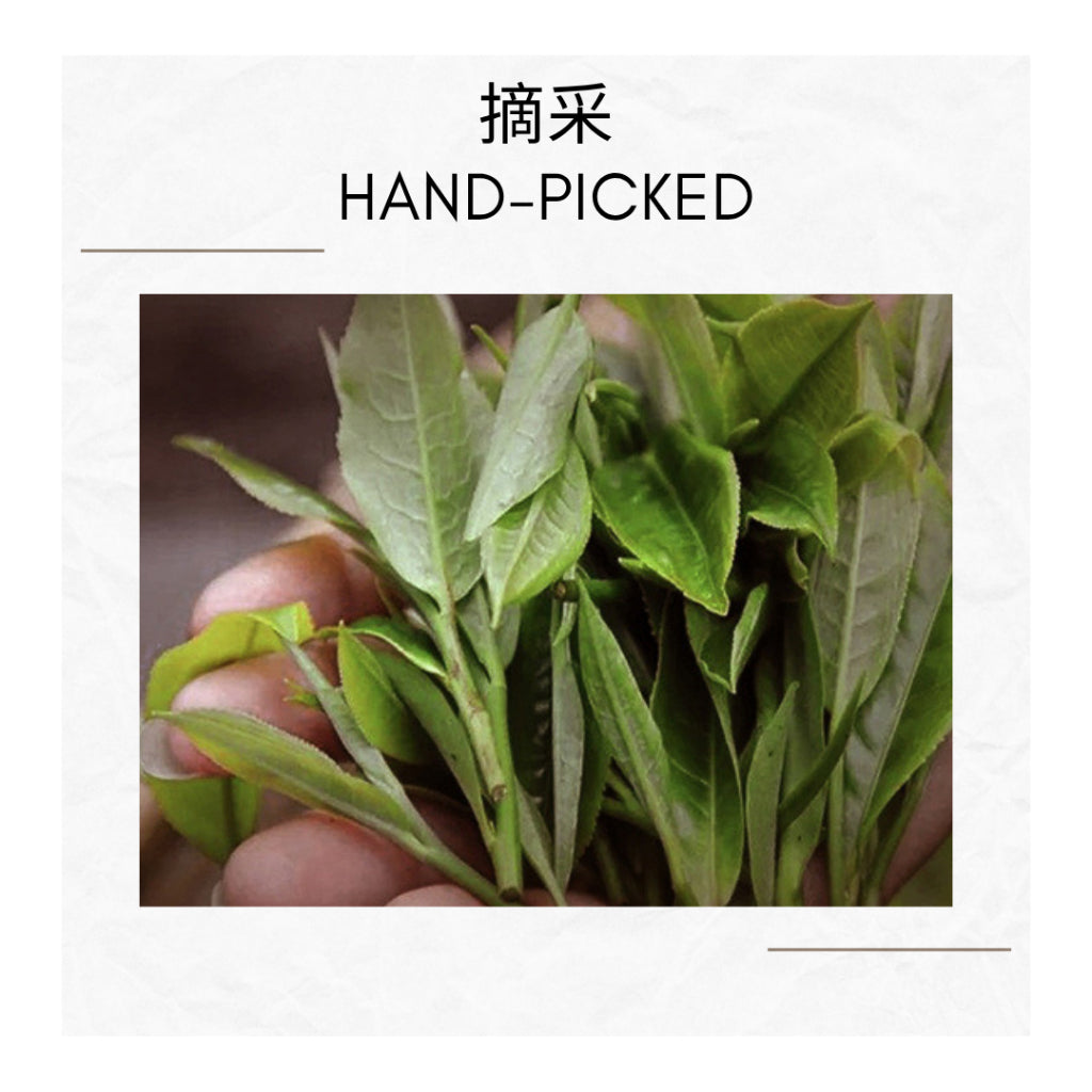 2008 2015 AGED LAO BAN ZHANG PUER TEA CAKE Ancient tree puer | Puerh Tea Cake | 布朗山老班章特级熟普洱茶饼 | 357g