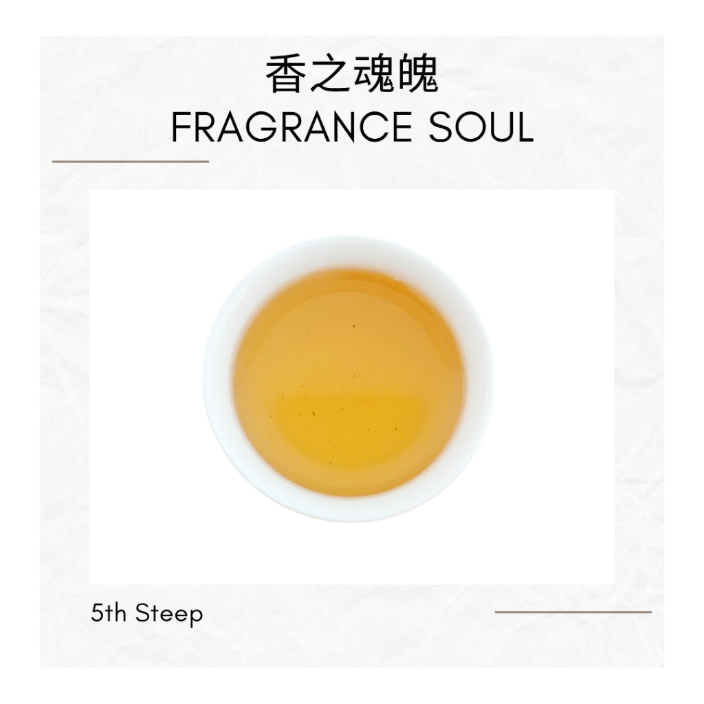 Ya Shi Xiang Dancong Tea Feng Huang Oolong Chinese Tea Duck Shit Aroma Dancong Tea 凤凰单枞 鸭屎香 乌龙茶