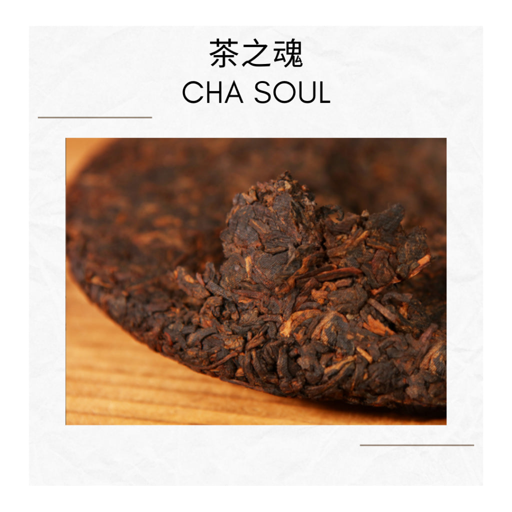 2002 YUNNAN BING DAO AGED PUER TEA CAKE Shou Pu-erh Tea Cake Ripe Puer Chinese Tea 云南陈年普洱茶饼 老熟茶 357g
