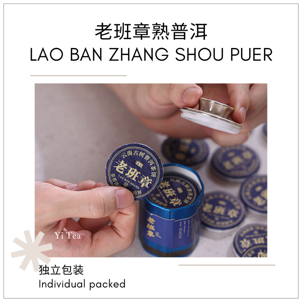 Bing Dao Puer & Specialty White Tea Mini Tea Cake Set | Premium Selection 冰岛普洱与特选白茶迷你茶饼 独立包装 精选