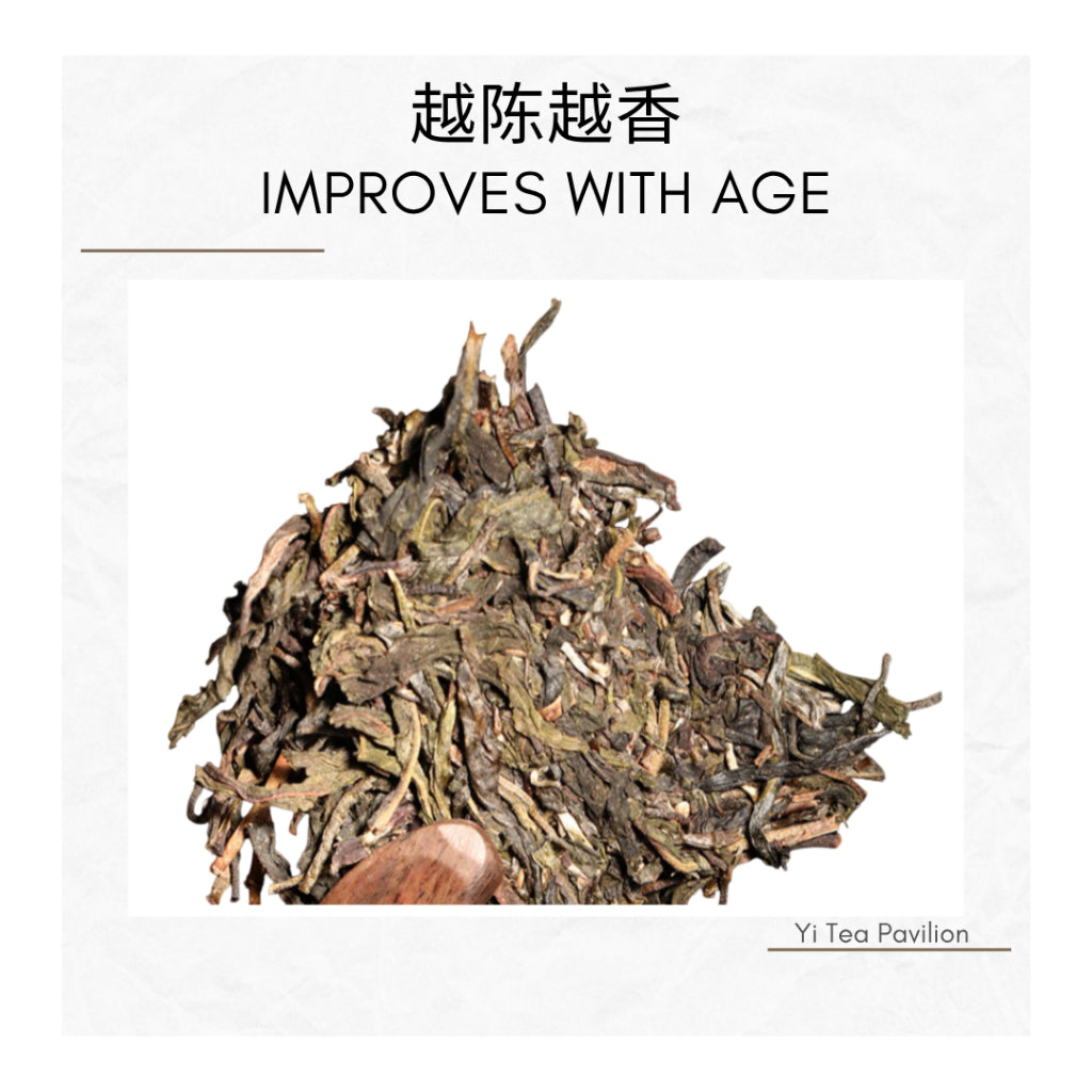 [SG Seller] 2008 Yunnan Lao Ban Zhang Raw Puer Sheng Puer Tea Bulang Mountain 老班章乔木布朗山生普洱特级 | 120g