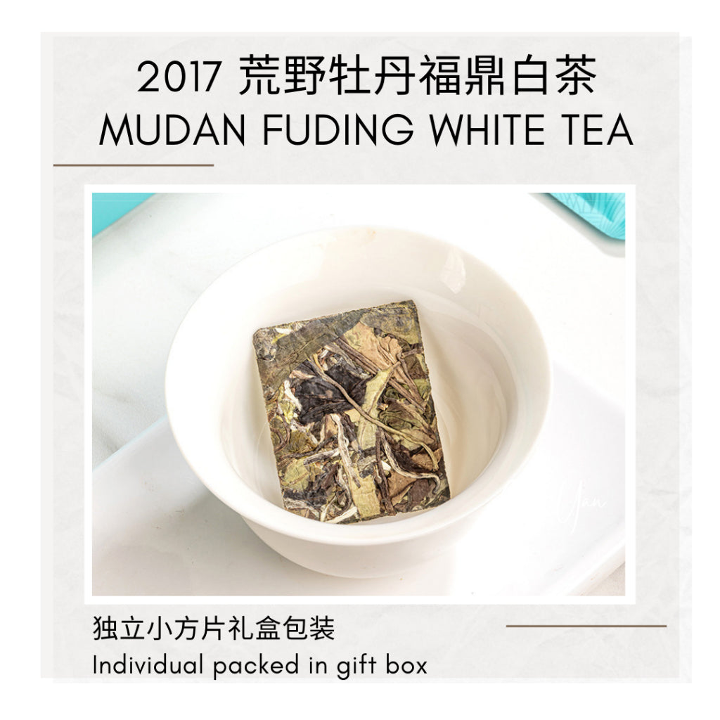 Authentic Floral Peony White Tea | 2017 Fuding Mudan | Gift Set 正宗花香白牡丹福鼎白茶 | 2017年福鼎牡丹 | 独立包装 礼盒装